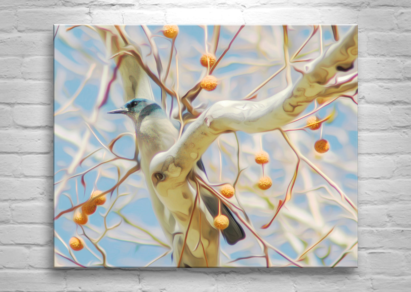 Blue Jay Bird in Sycamore Tree as Spring Forest Wildlife Photography