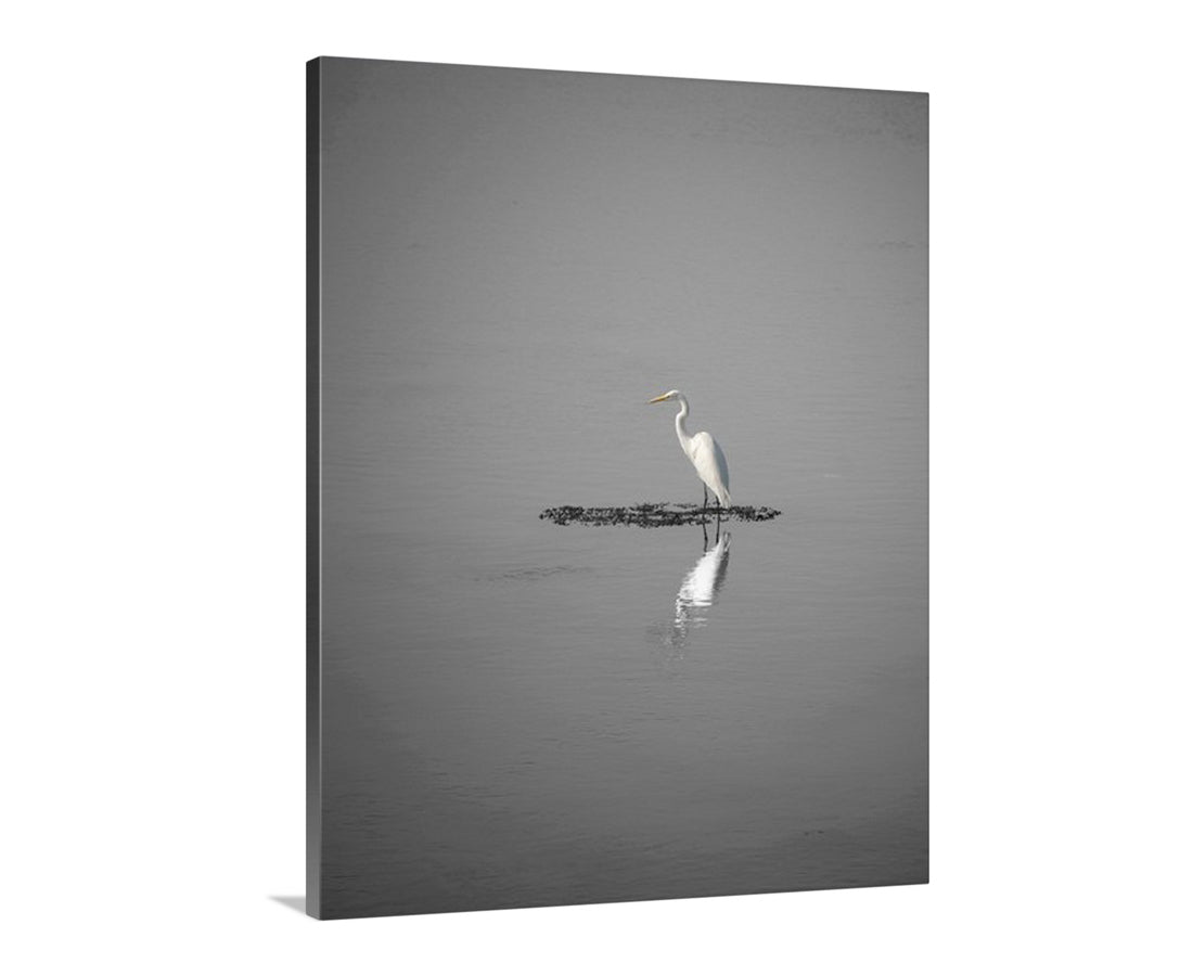 Egret Bird Art as Minimalist Wildlife Decor in Black and White