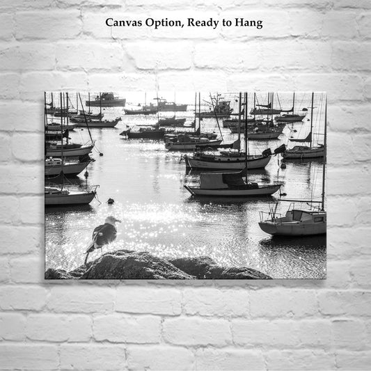 Monterey Bay Sailing Decor with California Coast Sunrise