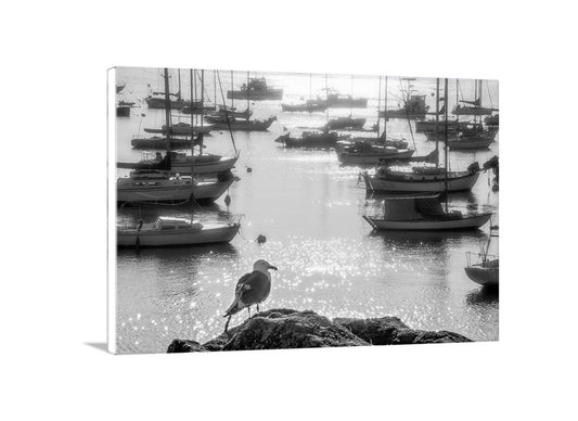 Monterey Bay Marina Art Print with Sailboats as Nautical Home Decor in Black & White
