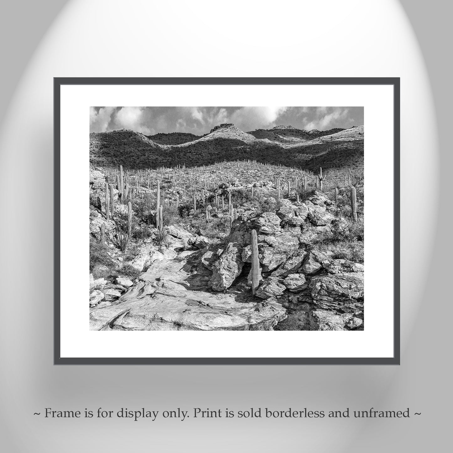 Desert Wall Decor with Black and White Tucson Arizona Landscape