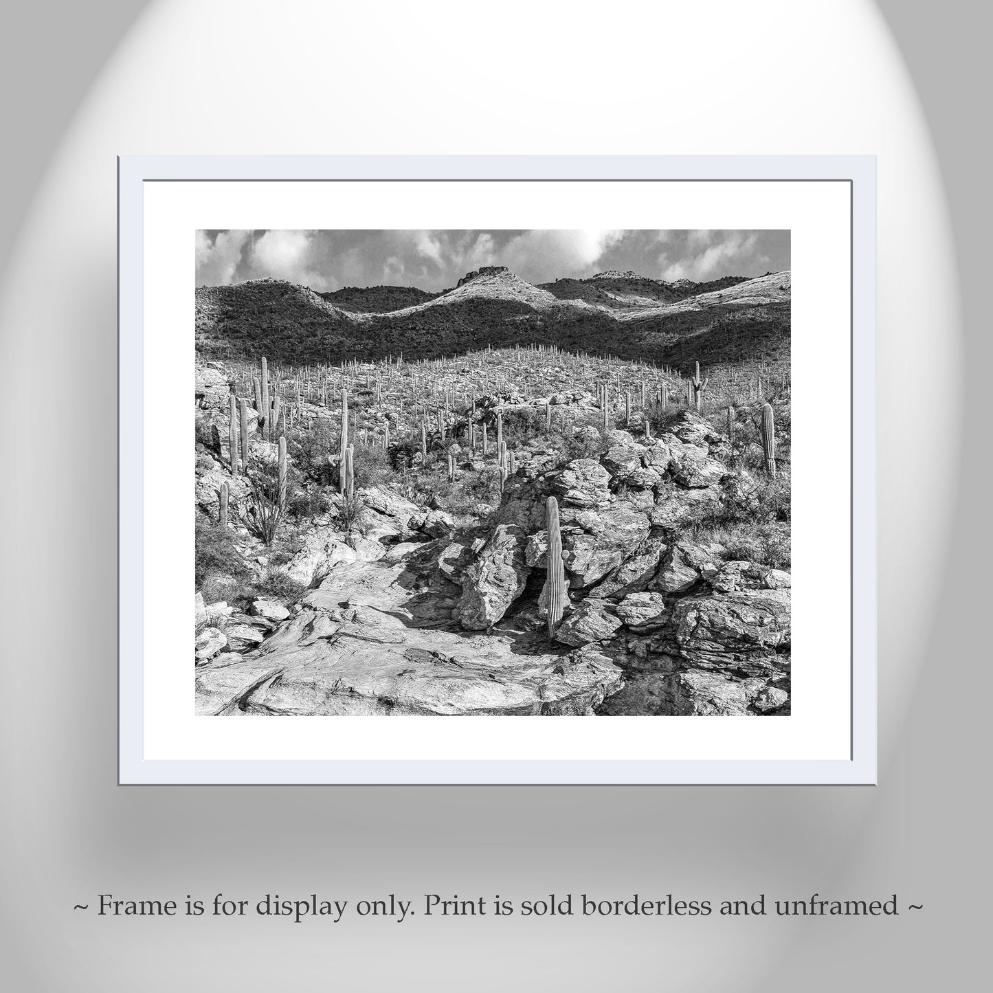 Desert Wall Decor with Black and White Tucson Arizona Landscape