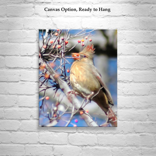 Cardinal Bird Nature Photo Print | Avian Wall Decor Framed Art