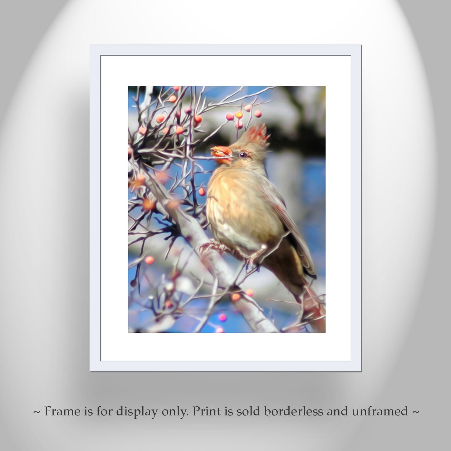Cardinal Bird Nature Photo Print as Avian Wall Decor