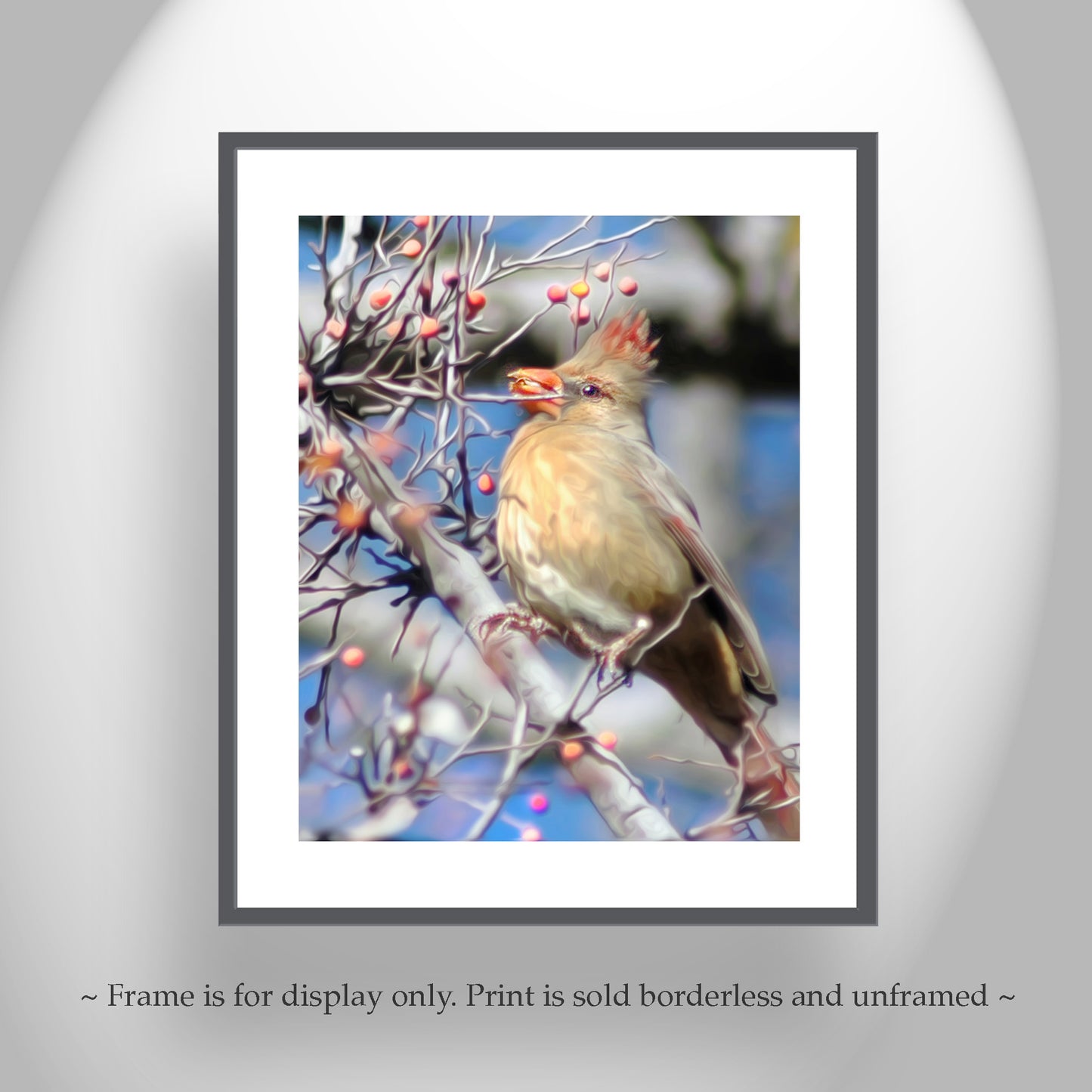Cardinal Bird Nature Photo Print as Avian Wall Decor
