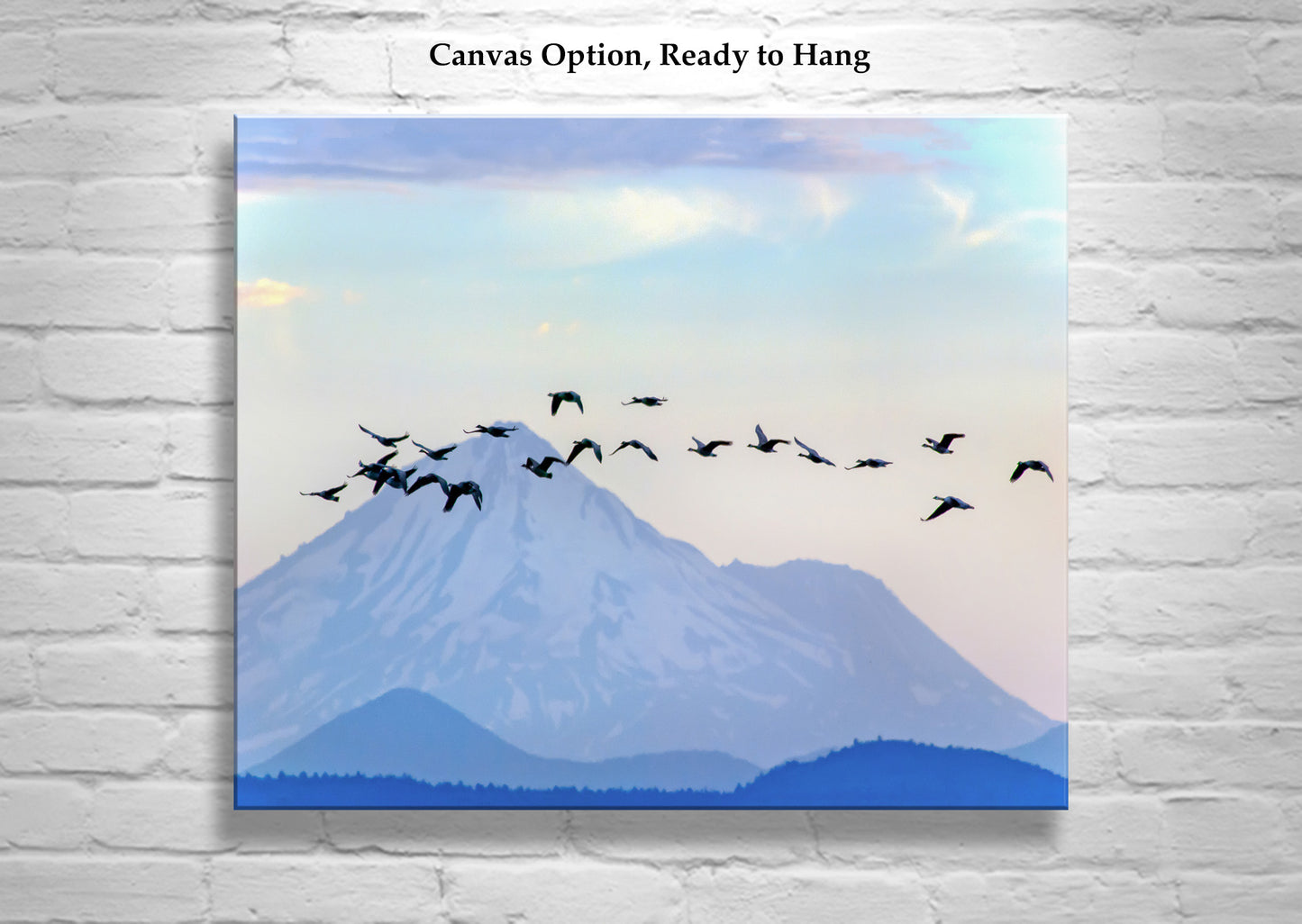 Mt Shasta in Winter with Flock of Geese | Western Mountain Landscape Art