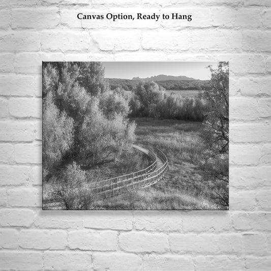 Wetlands Landscape Photo in Black and White with Grasslands Trail