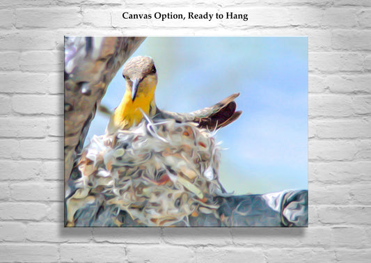 Hummingbird Nest Bird Art Photography Print