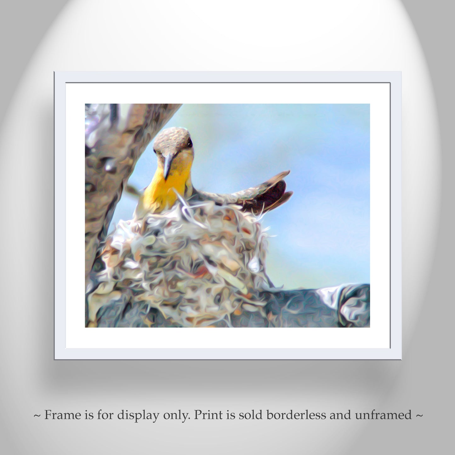 Hummingbird Nest Bird Art Photography Print