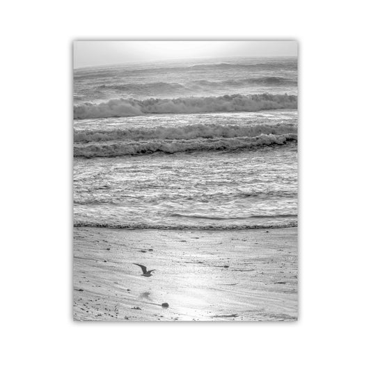 A black and white image of a seagull flying over a beach with waves crashing in the background. Jalama Beach Art | Black & White Santa Barbara Coast Painterly Print