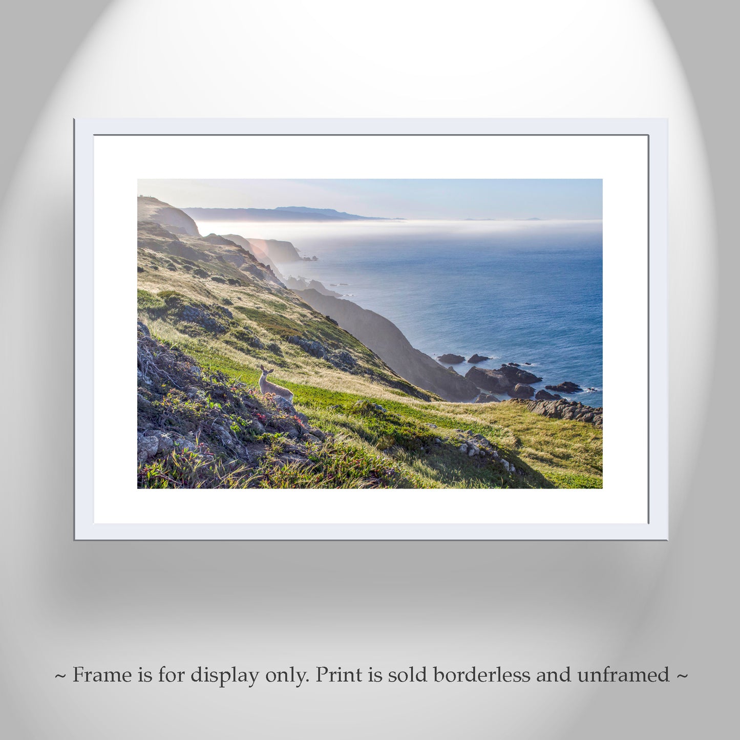 Point Reyes California Coastal Art Photograph with Wild Deer| Marin County Ocean Photography Wall Decor for Home or Office