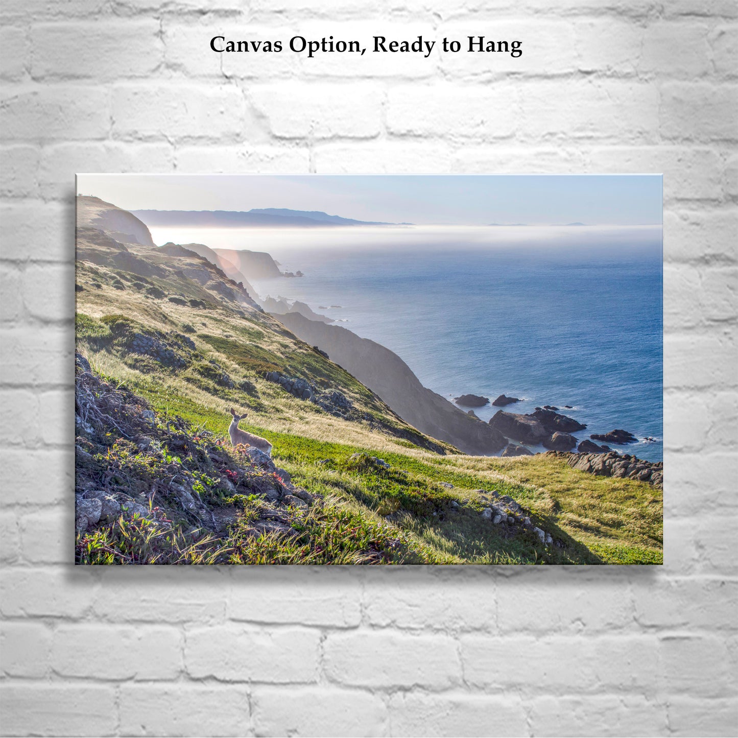 Point Reyes California Coastal Art Photograph with Wild Deer| Marin County Ocean Photography Wall Decor for Home or Office