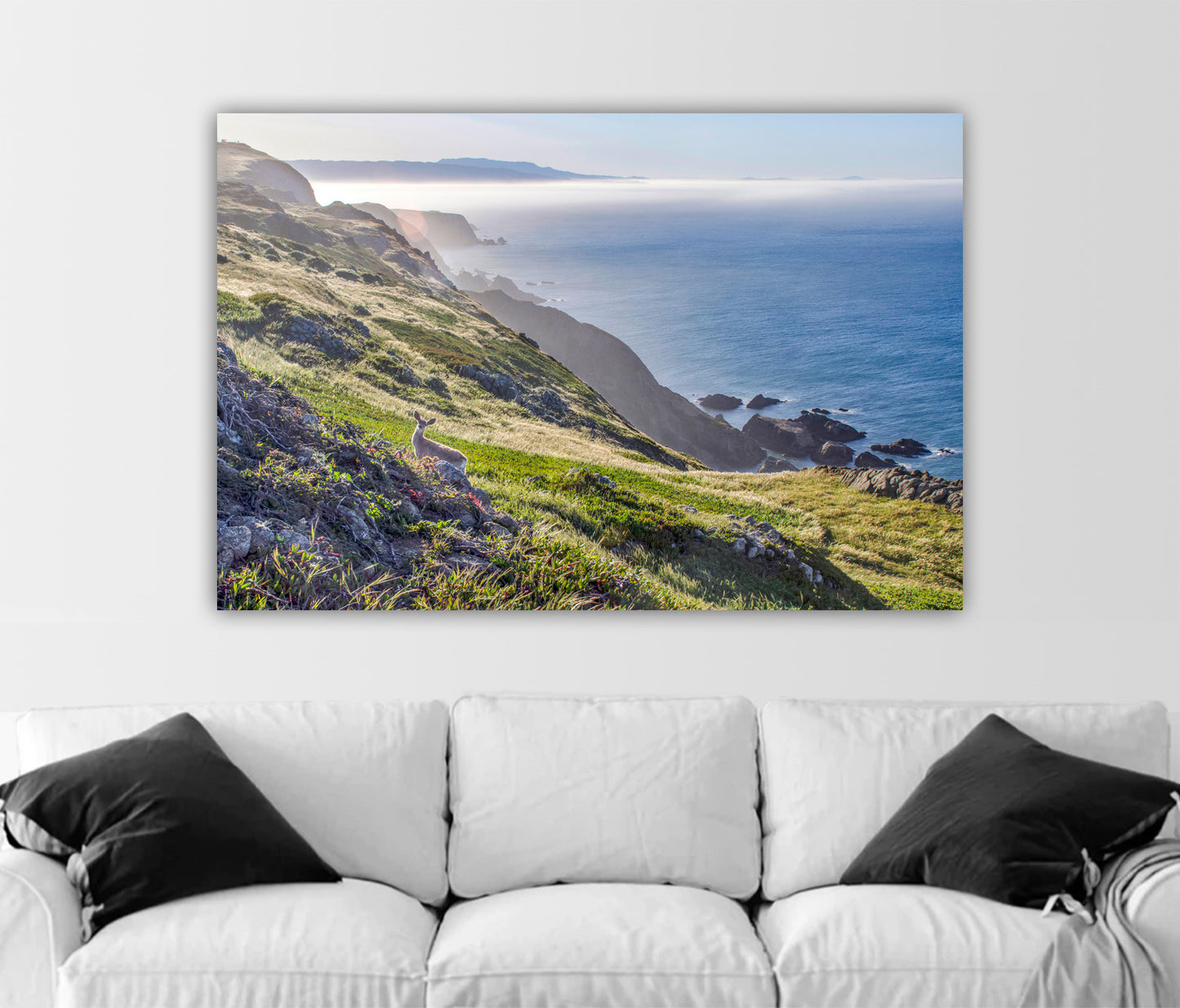 Point Reyes California Coastal Art Photograph with Wild Deer| Marin County Ocean Photography Wall Decor for Home or Office