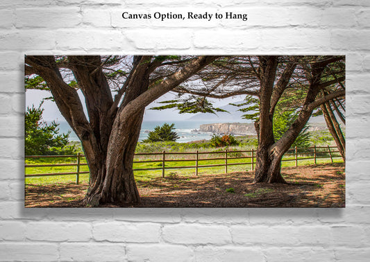 Big Sur California Coast Seascape Art with Monterey Cypress Trees