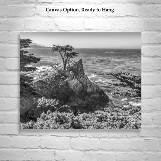 Carmel by the Sea Lone Cypress Trees Black and White Art Print