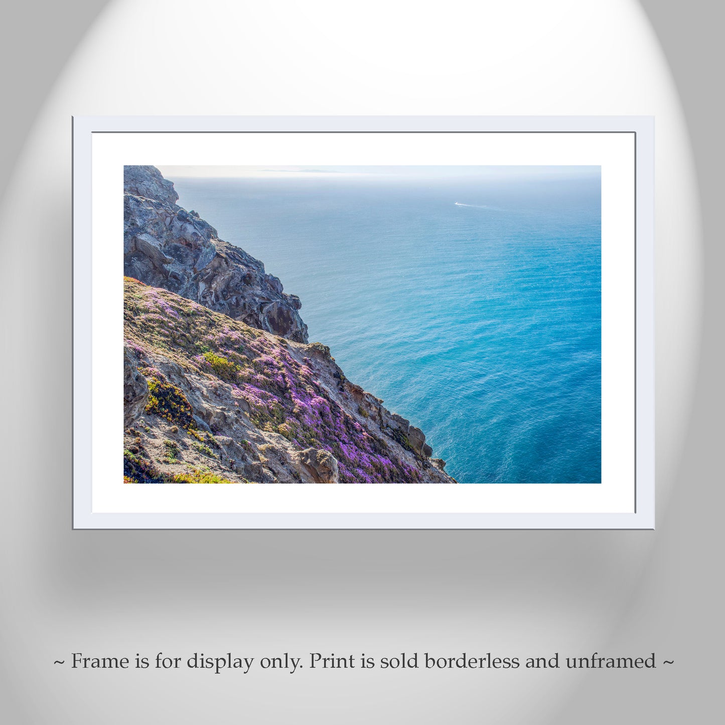 Point Reyes Photography with California Coast Wildflowers at Marin County | Pacific Ocean Art Decor Gift