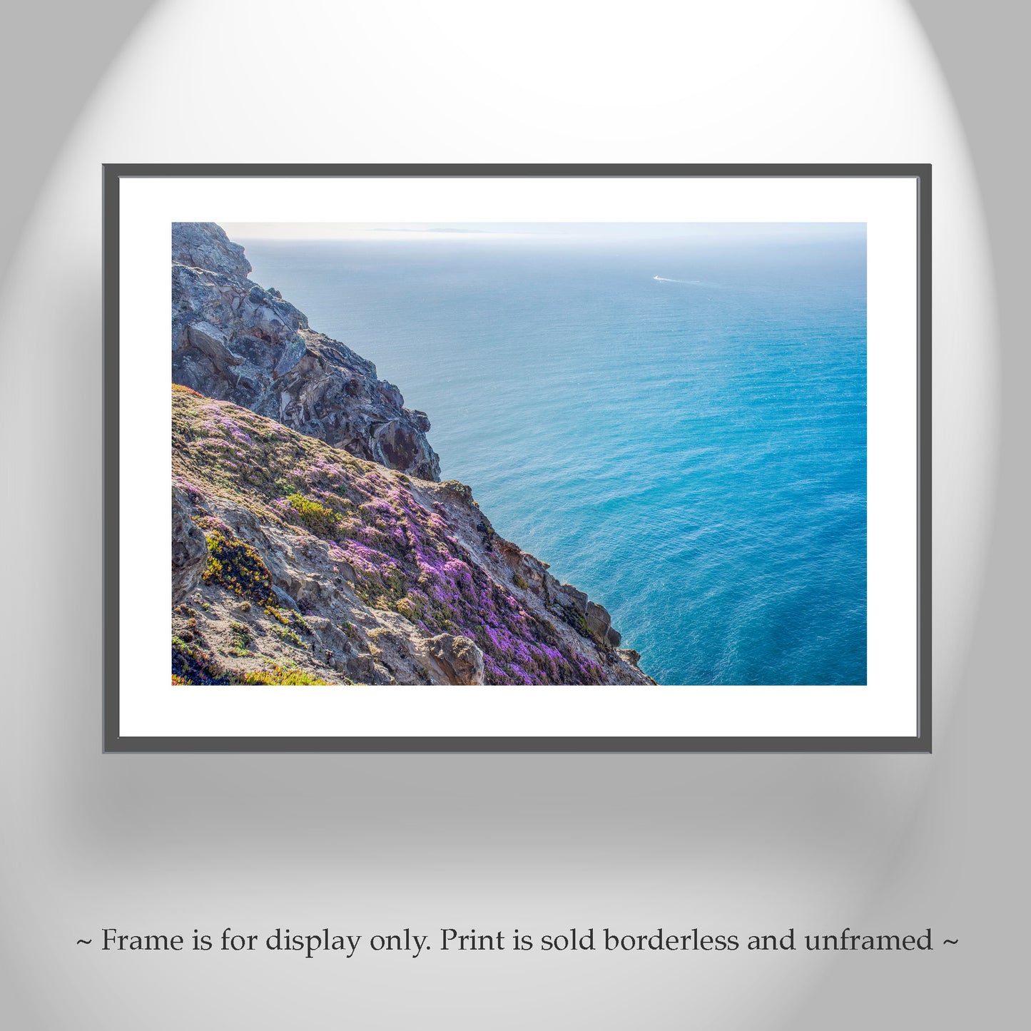 Point Reyes Photography with California Coast Wildflowers at Marin County | Pacific Ocean Art Decor Gift