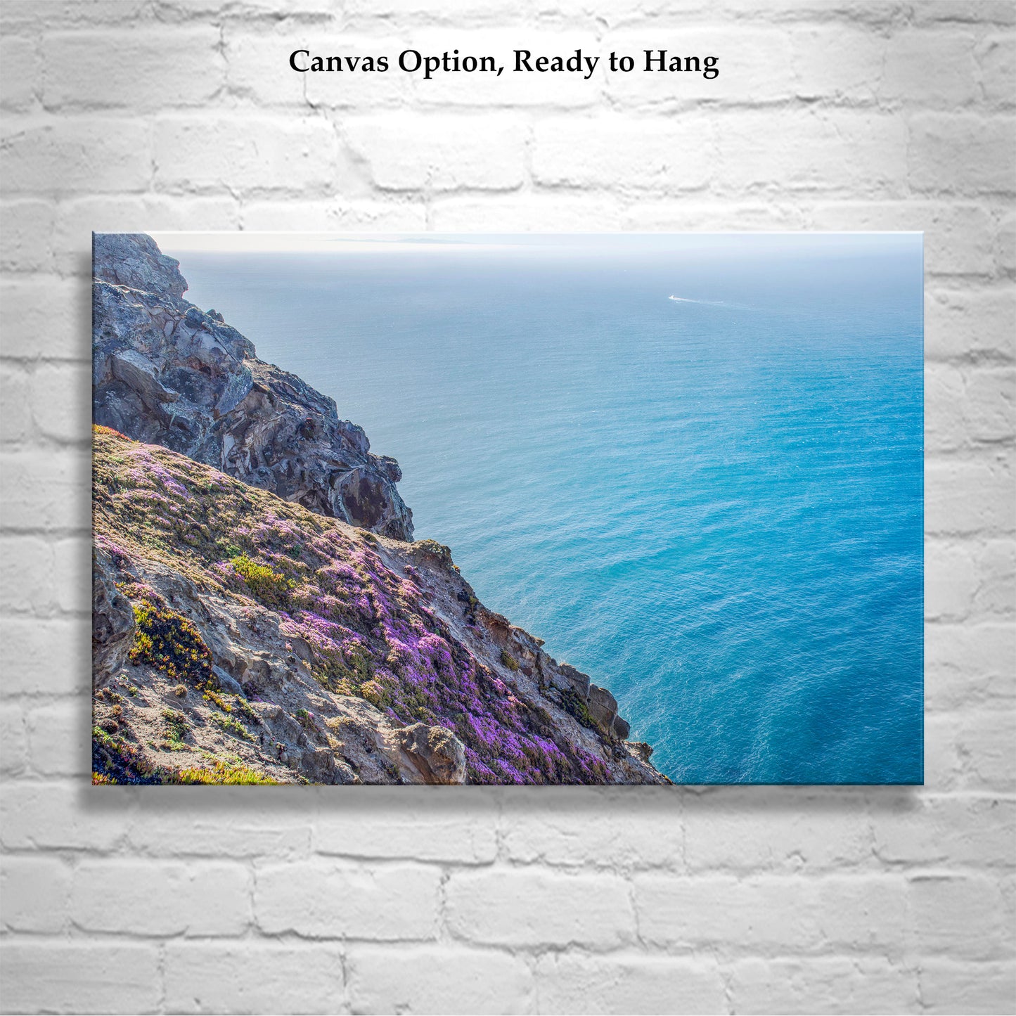 Point Reyes Photography with California Coast Wildflowers at Marin County | Pacific Ocean Art Decor Gift