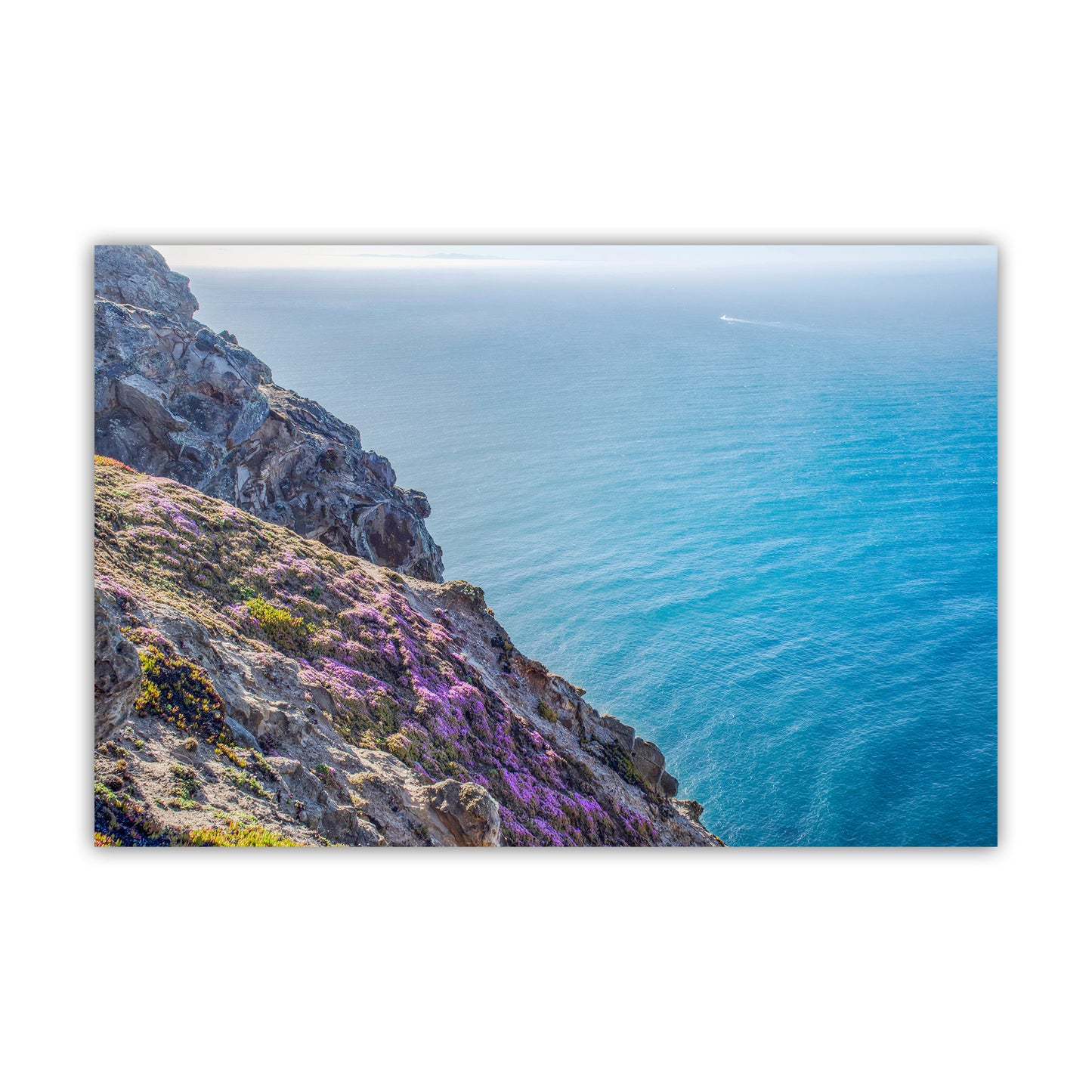 Point Reyes Photography with California Coast Wildflowers at Marin County | Pacific Ocean Art Decor Gift