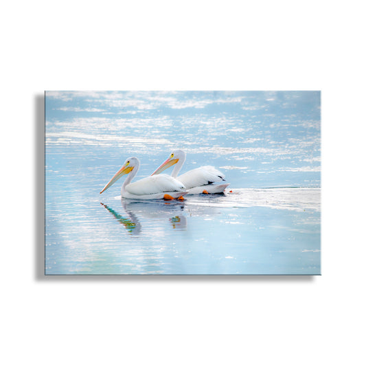 Two white pelicans with yellow beaks are resting on the water's surface, their reflections visible in the calm water. White Pelican Bird Art - Dreamy Wetlands Wildlife Decor Print