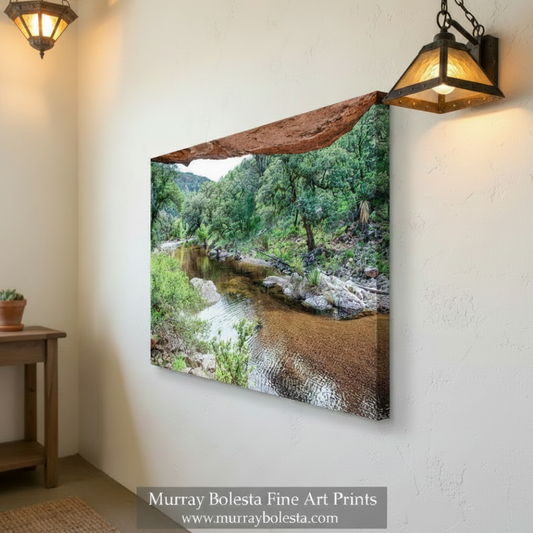 A serene natural landscape with a small stream flowing through a lush, forested area. The stream is surrounded by rocks and vegetation, creating a tranquil and picturesque scene. Desert Canyon Art – Southern Arizona Wilderness Landscape Print by Murray Bolesta