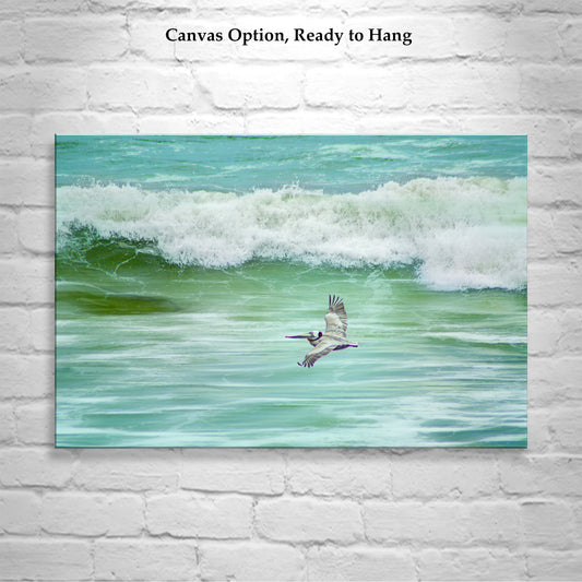 Pelican in Flight Print – San Diego Beach Seabird Wall Art