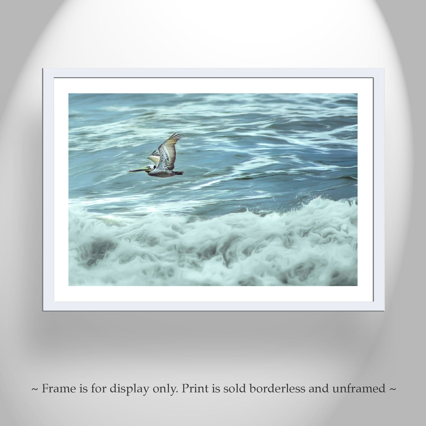 Flying Pelican Wall Art Print at Pacific Ocean San Diego California