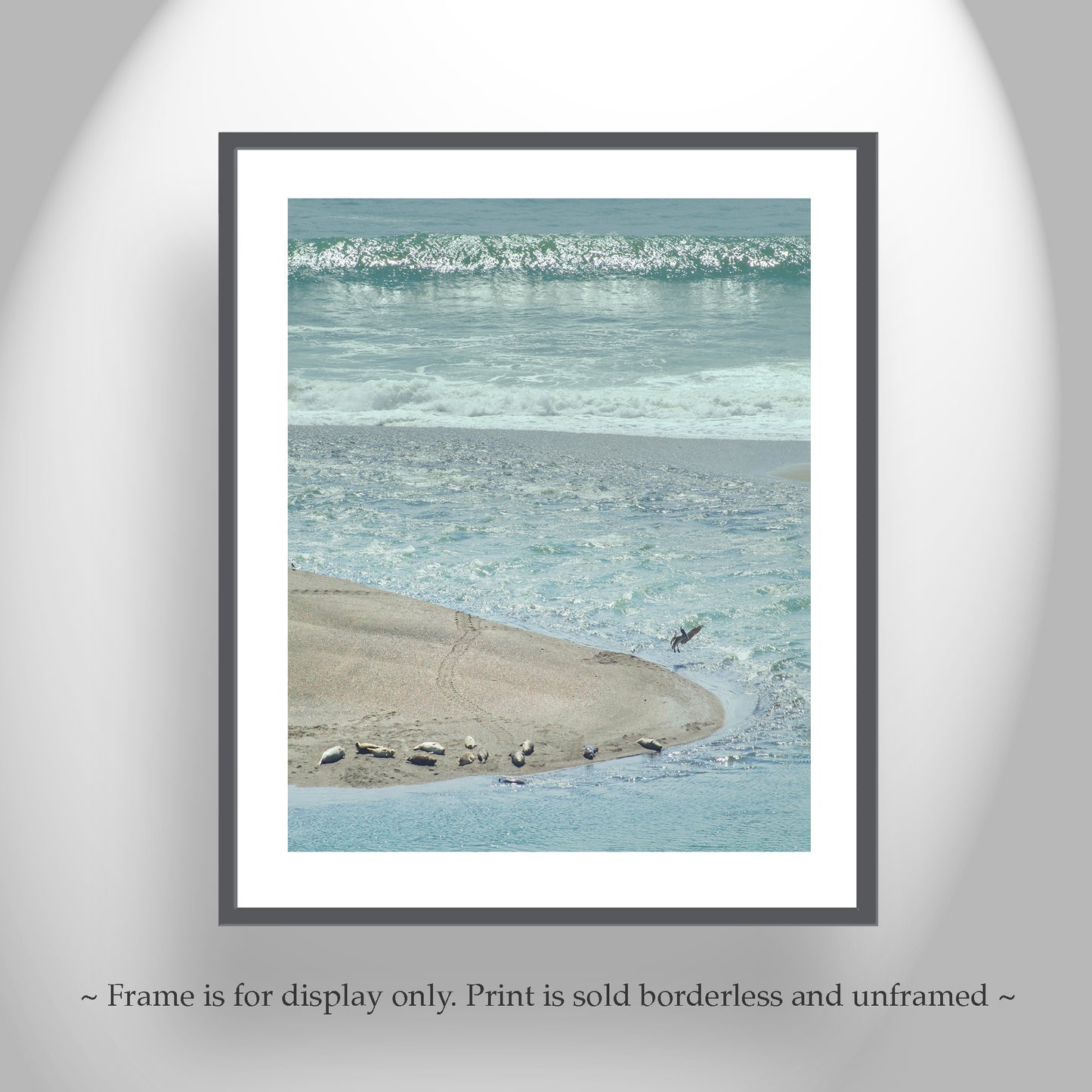 Mendocino Ocean Art Print with Sea Lions and Pelican Birds