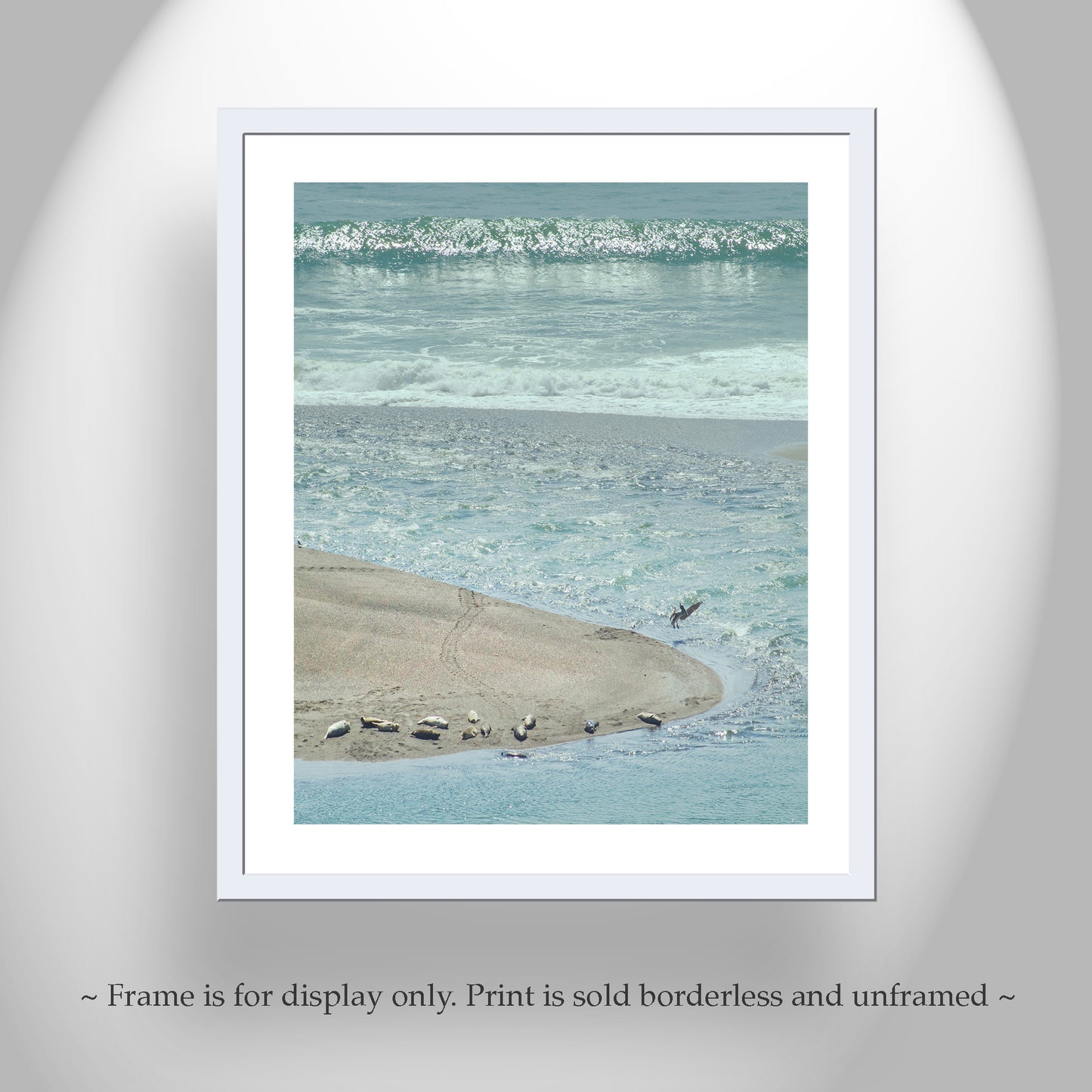 Mendocino Ocean Art Print with Sea Lions and Pelican Birds