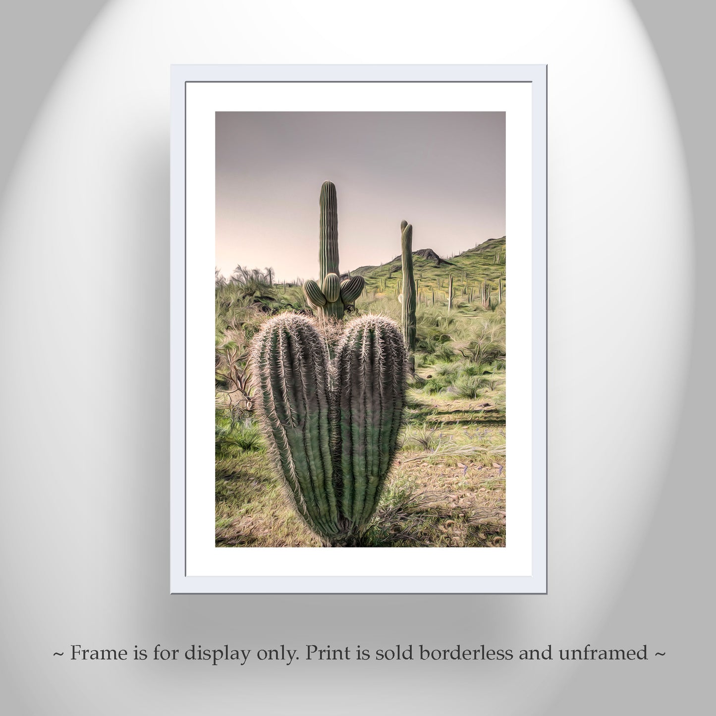Arizona Cactus Landscape Art – Saguaro at Picacho Peak State Park