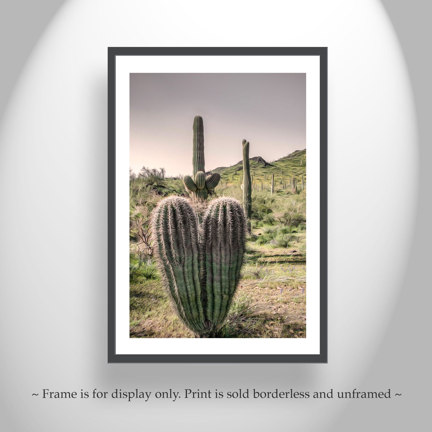 Arizona Cactus Landscape Art – Saguaro at Picacho Peak State Park