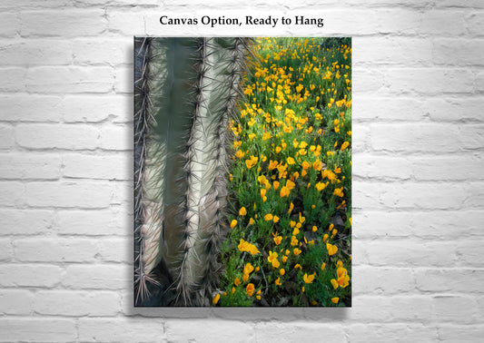 Picacho Peak State Park Arizona Cactus & Wildflowers Nature Art