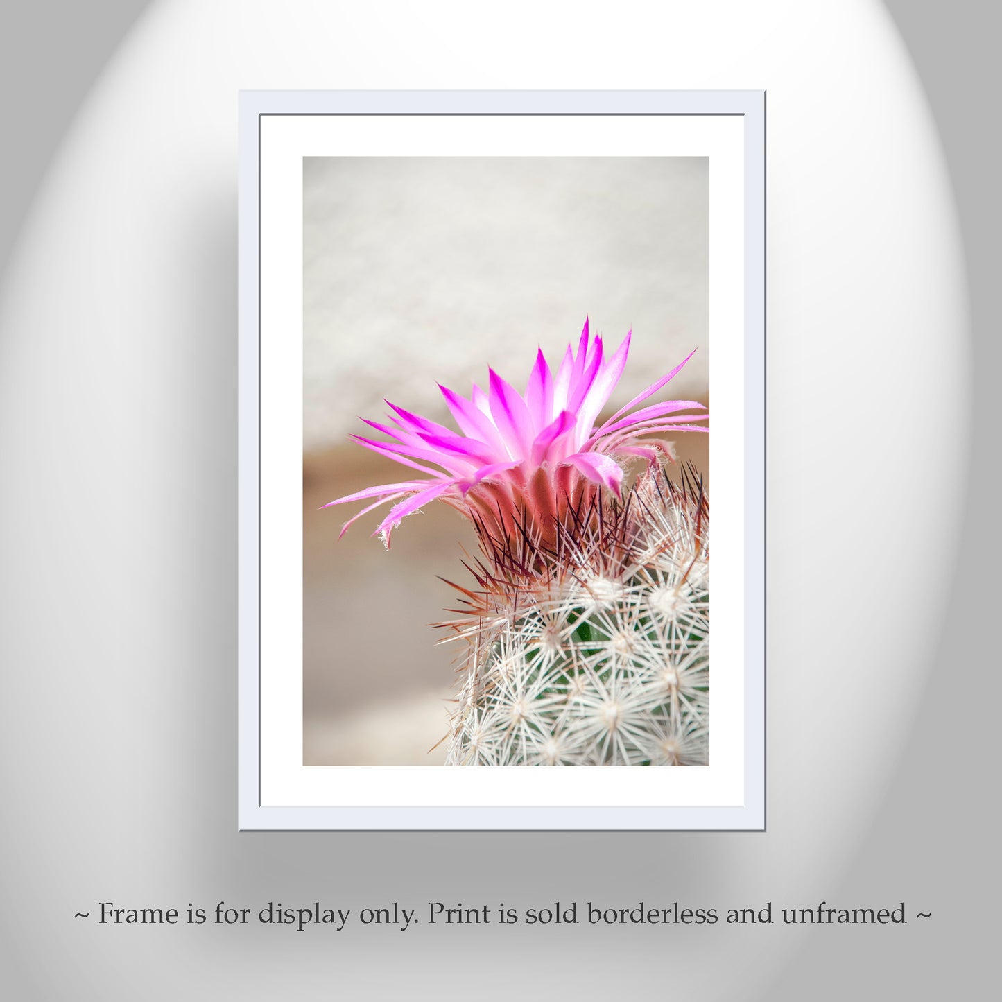 Cactus Flower Art Print in Pastel | Arizona Desert Wildflower Wall Decor