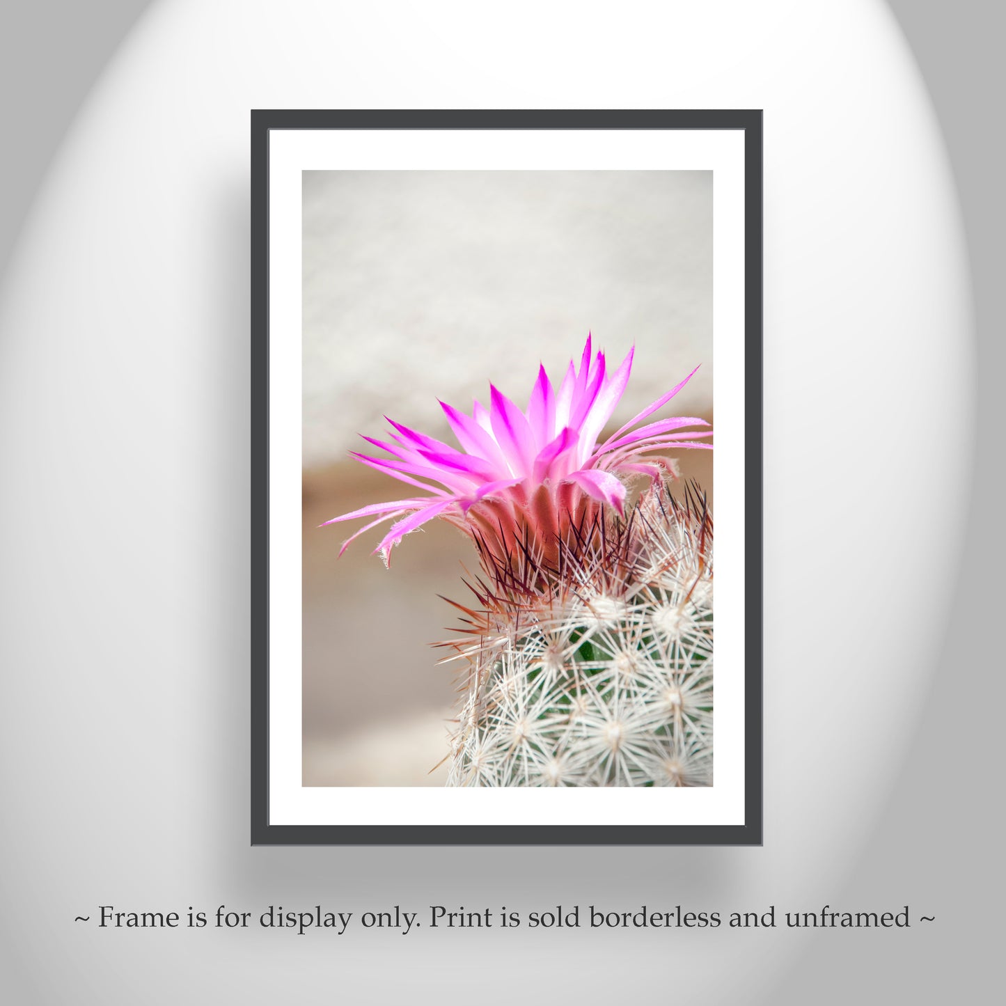 Cactus Flower Art Print in Pastel | Arizona Desert Wildflower Wall Decor
