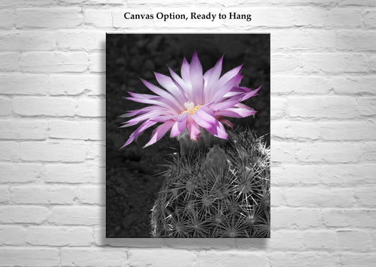 Southwestern Cactus Blossom Art Print - Pink Desert Flower