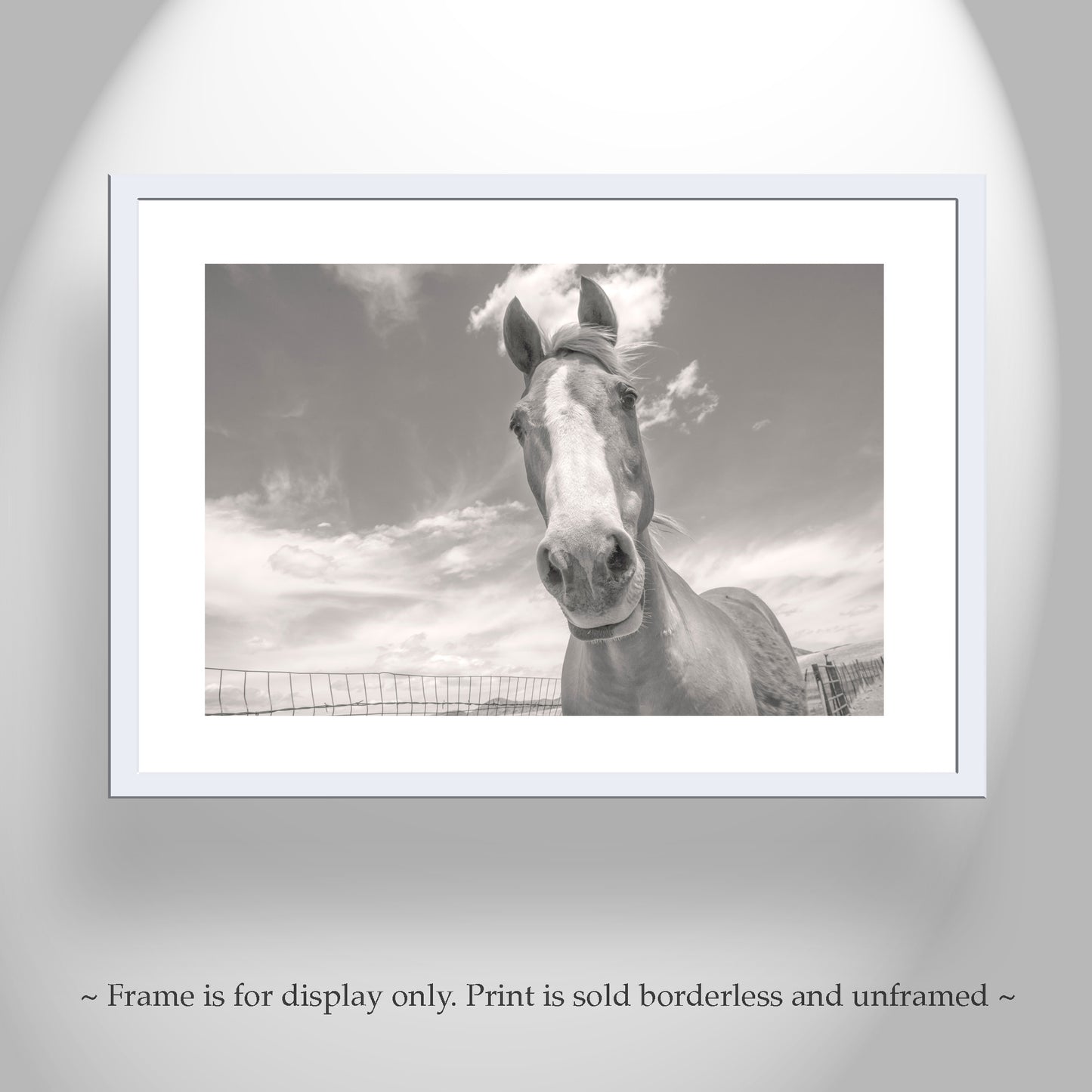 Horse Photography Art Print on Prairie Ranch Landscape by Murray Bolesta | Equestrian Photo Artwork Gift