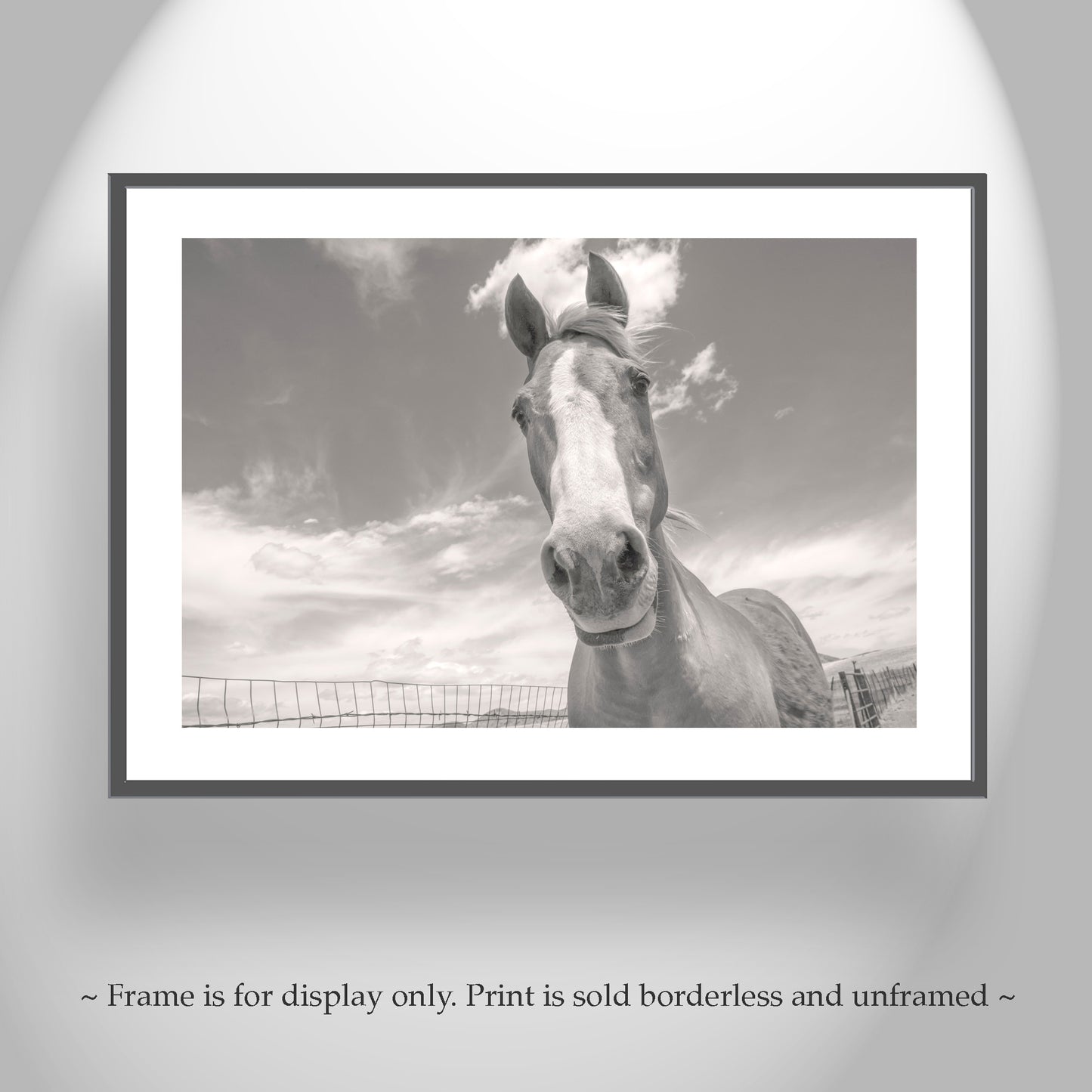Horse Photography Art Print on Prairie Ranch Landscape by Murray Bolesta | Equestrian Photo Artwork Gift