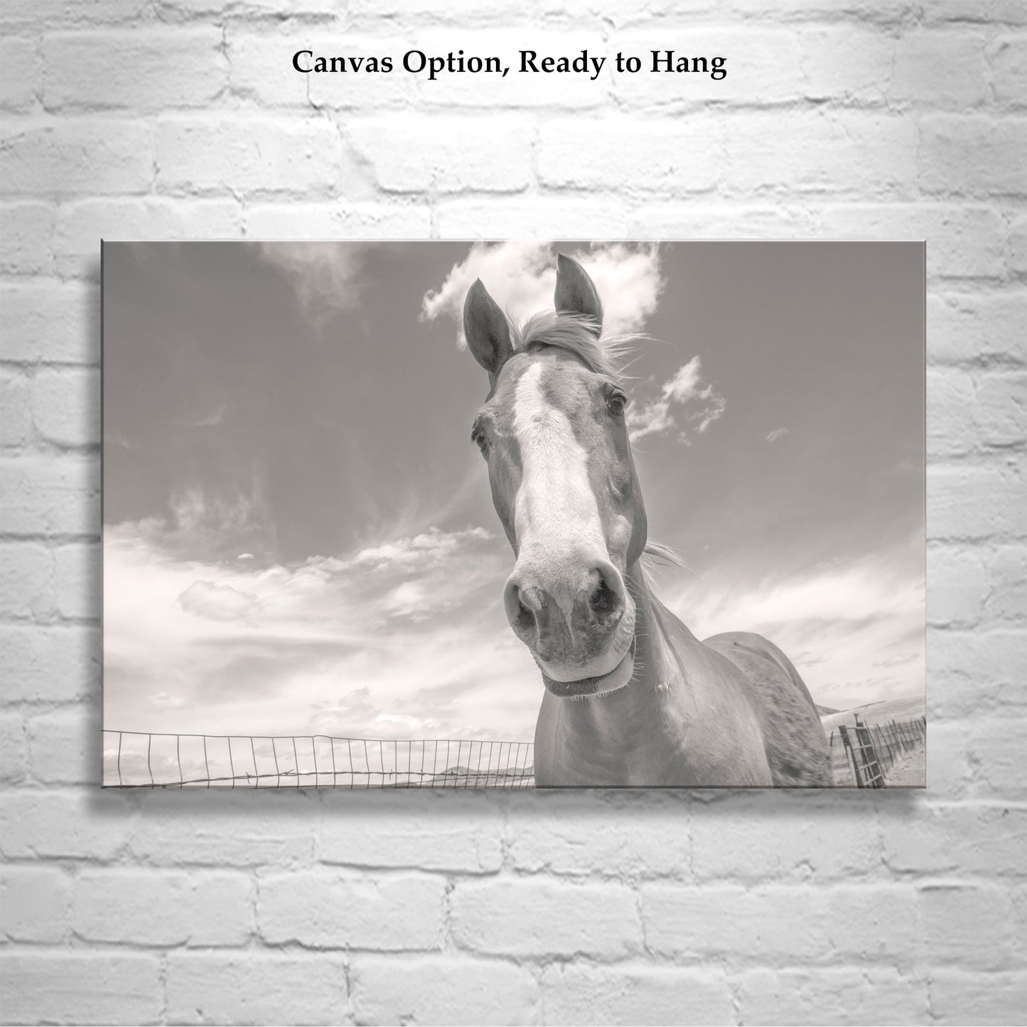 Horse Photography Art Print on Prairie Ranch Landscape by Murray Bolesta | Equestrian Photo Artwork Gift