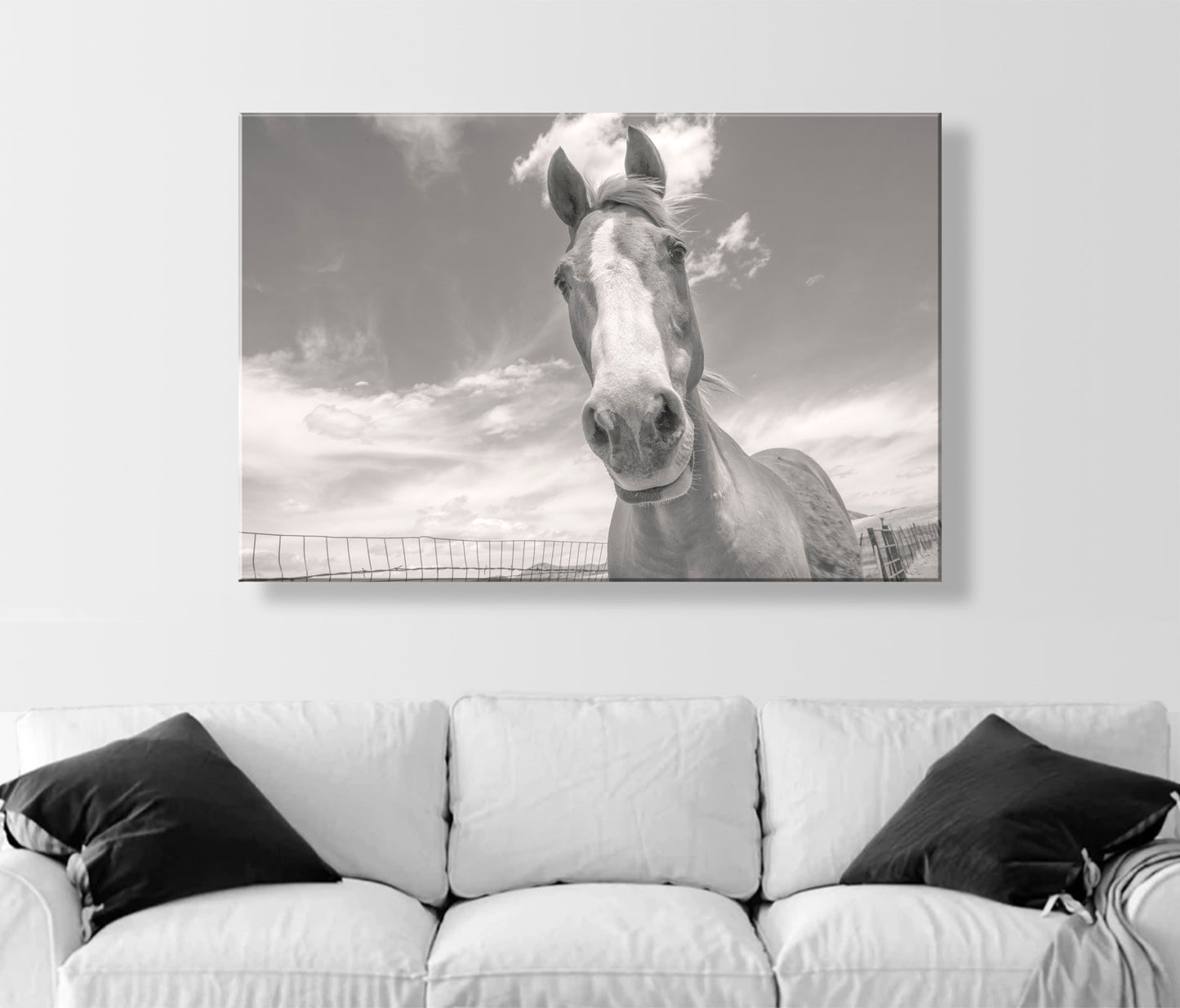 Horse Photography Art Print on Prairie Ranch Landscape by Murray Bolesta | Equestrian Photo Artwork Gift