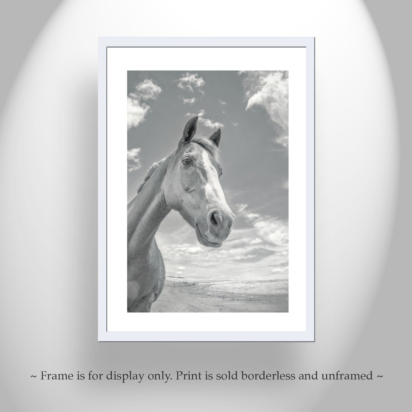Horse Art Print as Equestrian Photography Wall Decor for Home | Tucson Arizona Ranch Horse Picture Gift
