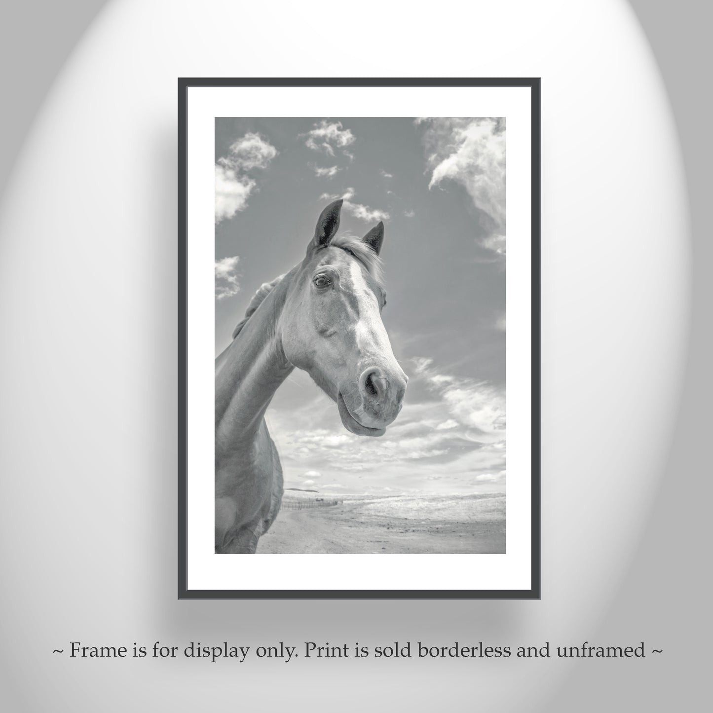 Horse Art Print as Equestrian Photography Wall Decor for Home | Tucson Arizona Ranch Horse Picture Gift