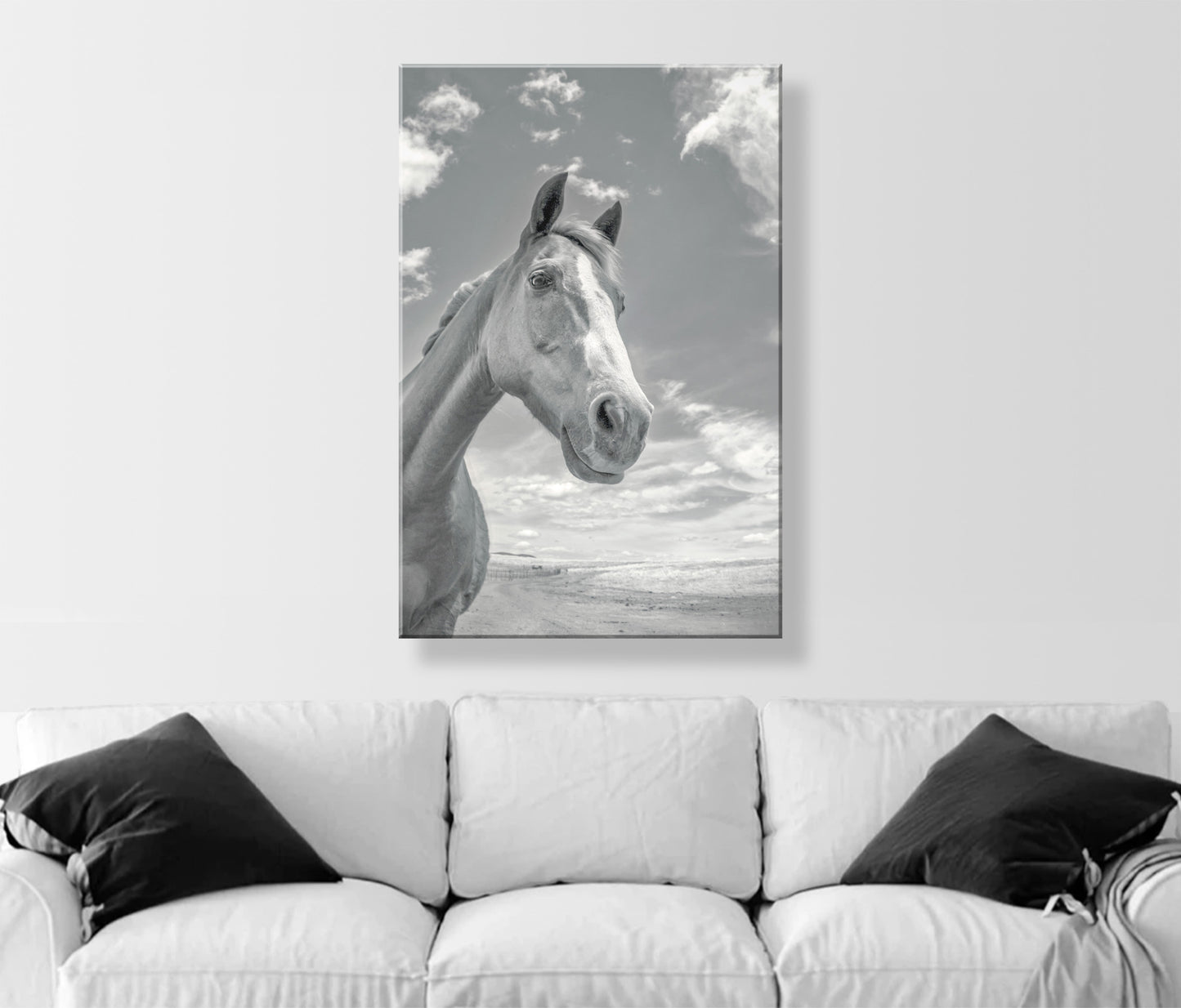 Horse Art Print as Equestrian Photography Wall Decor for Home | Tucson Arizona Ranch Horse Picture Gift