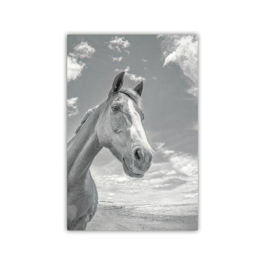 A black and white photograph of a horse standing in a field, with a cloudy sky in the background. Tucson Ranch Horse Art | Arizona Equestrian Photography Print