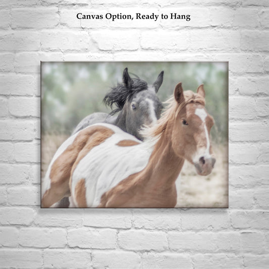 Horse Photograph Art Print with Frisky Horses as Equestrian Decor