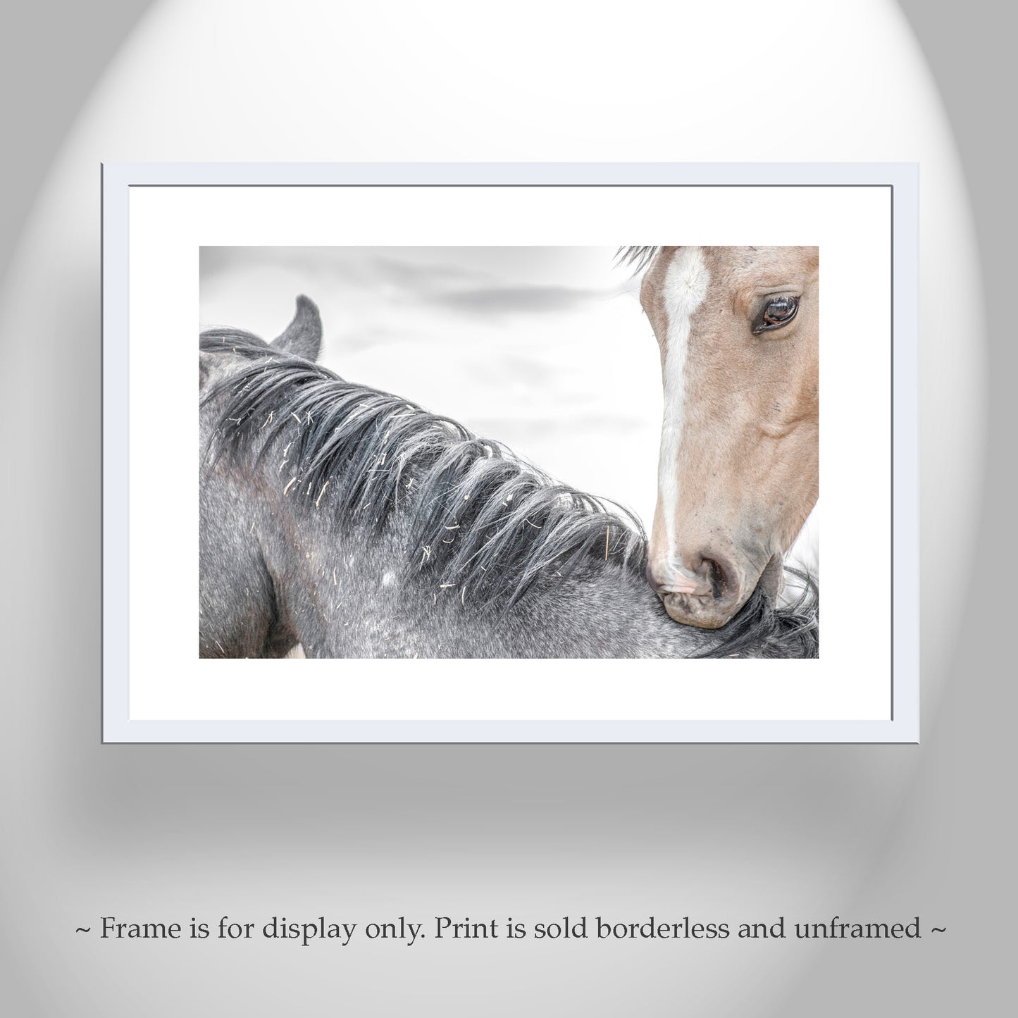 Horse Photography as Equestrian Wall Decor with Frisky Playful Horses | Arizona Ranch Art
