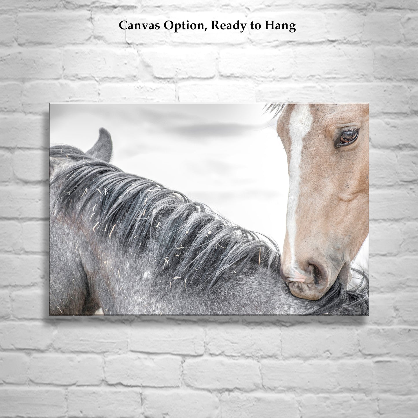 Horse Photography as Equestrian Wall Decor with Frisky Playful Horses | Arizona Ranch Art