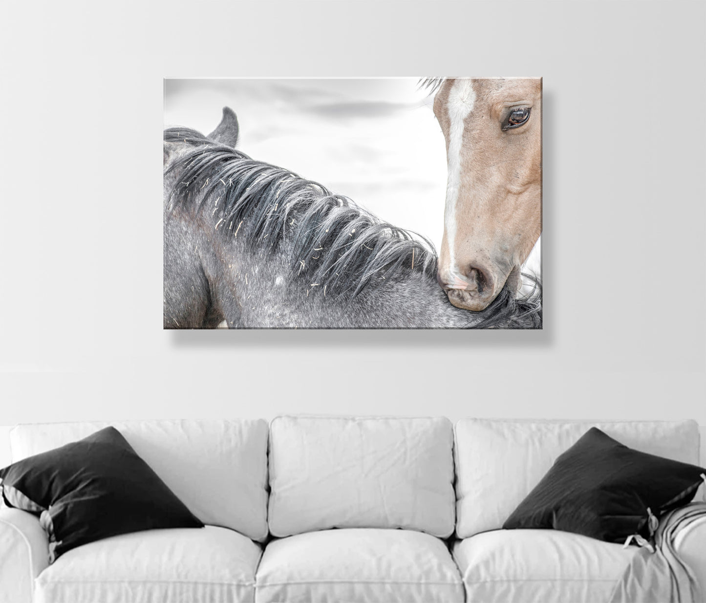 Horse Photography as Equestrian Wall Decor with Frisky Playful Horses | Arizona Ranch Art