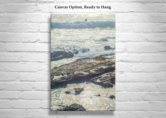 Point Cabrillo Mendocino County Coast Art Print