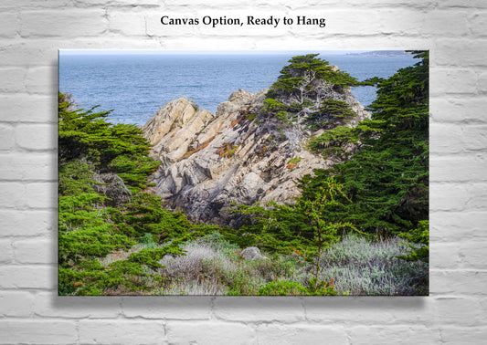 Point Lobos State Natural Reserve Landscape Art | Carmel California