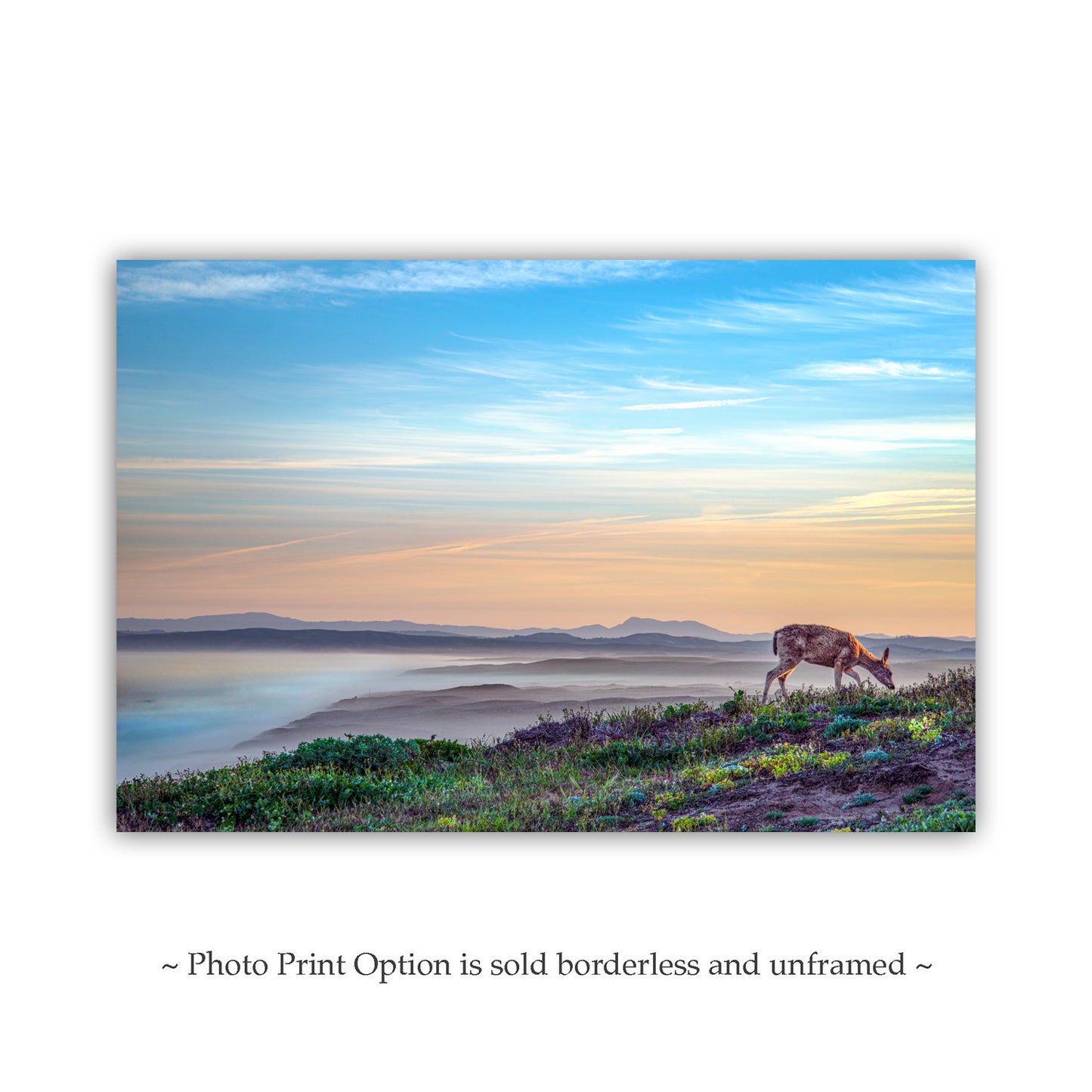 Marin County Coastal Art Print with Point Reyes Sunrise and Wild Deer | California Seacoast Gift